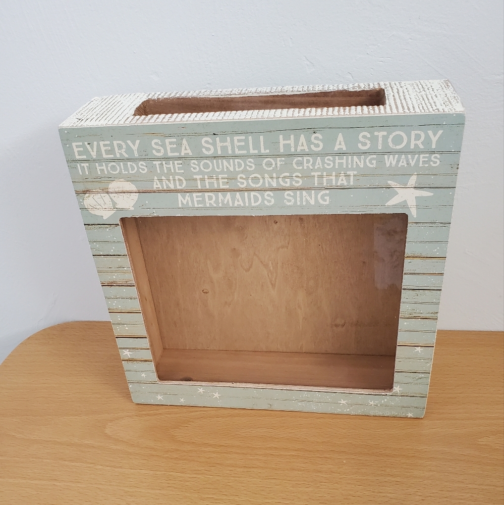 Sea shell display